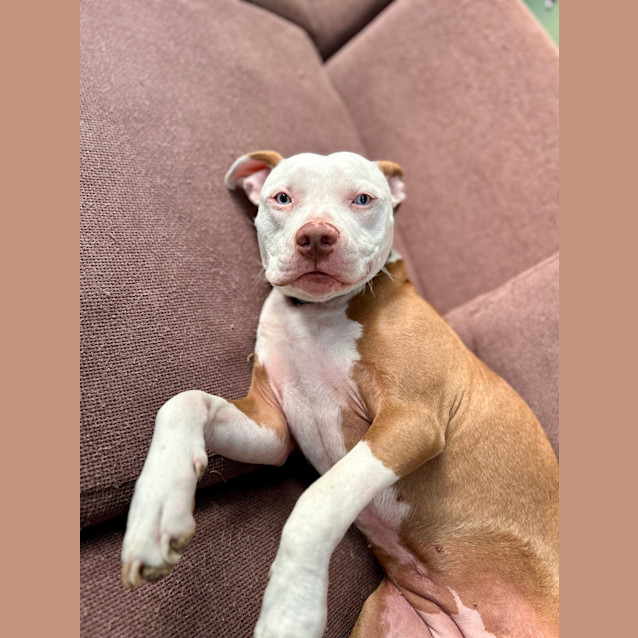 Photo of Millie