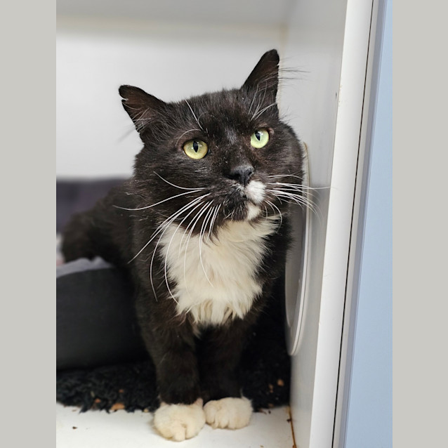 Photo of Mr Resident