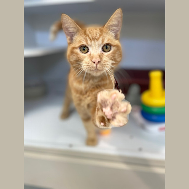 Photo of Anders (0150)