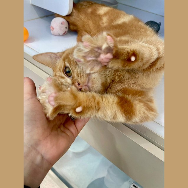 Photo of Anders (0150)