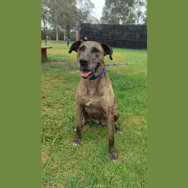 Photo of Gracie West