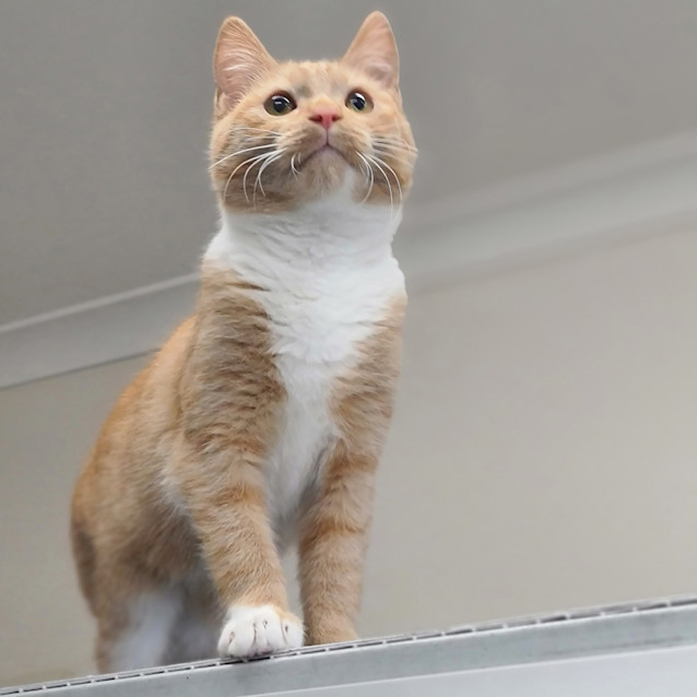 Photo of Reggie