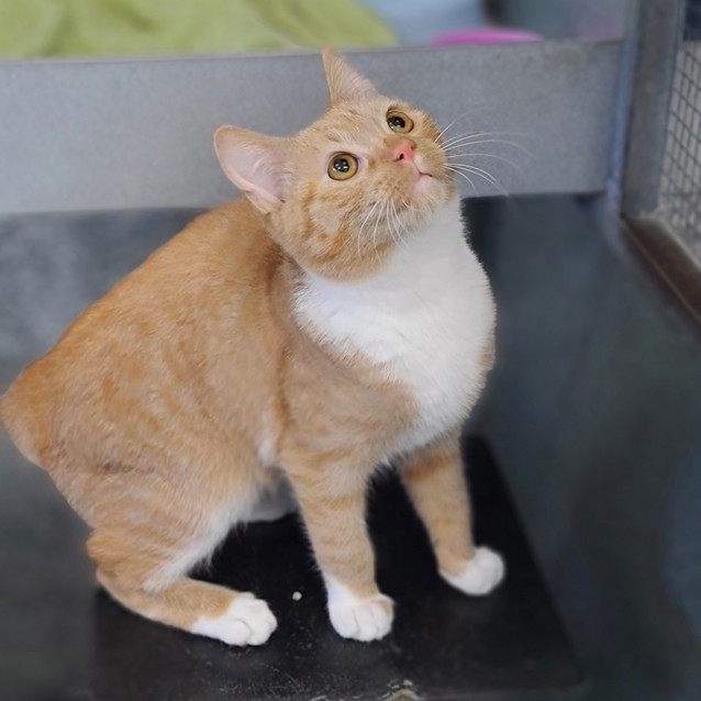 Photo of Reggie