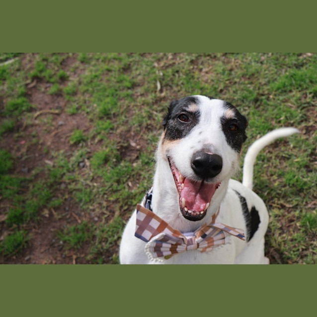Photo of Freyja