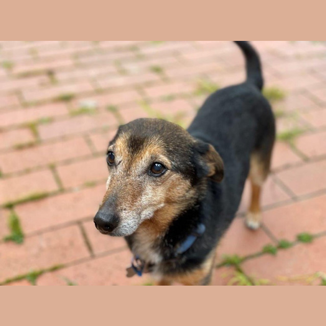 Photo of Luca Illingworth