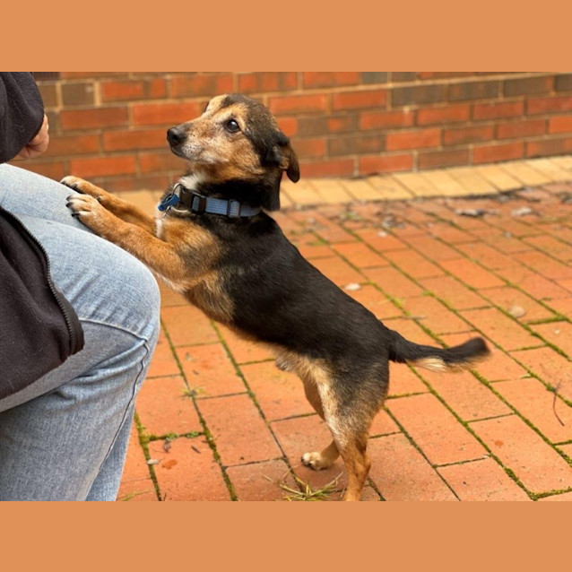 Photo of Luca Illingworth