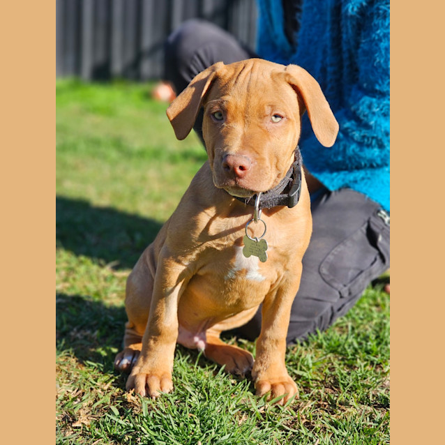 Photo of Cletus