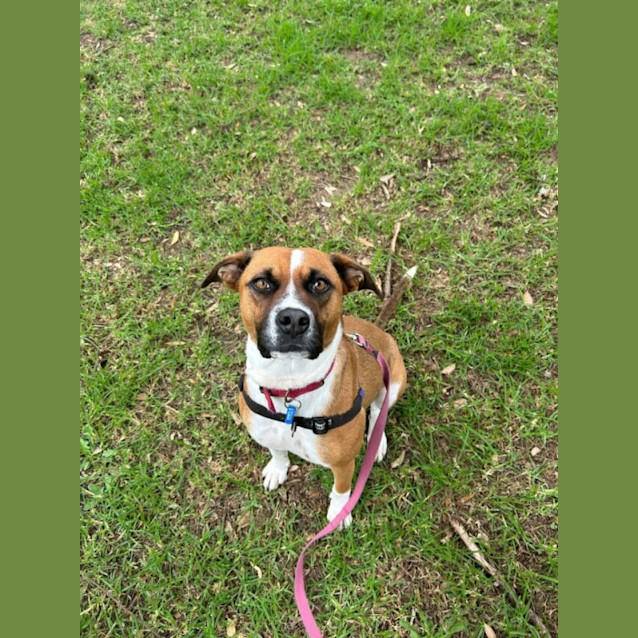 Photo of Coco