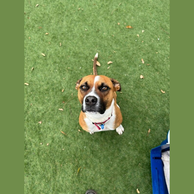 Photo of Coco