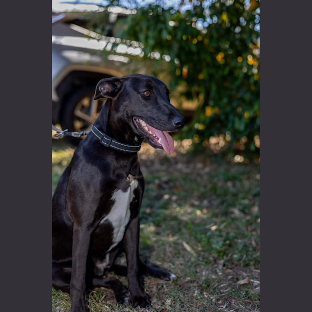 Photo of Zena