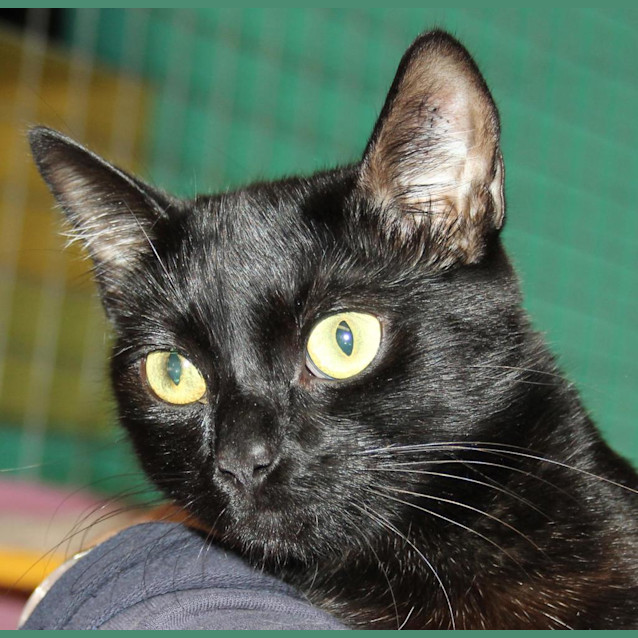 Photo of Lena (Previously Charlie)