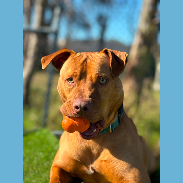 Photo of 🏆 Sawyer 5076  🏆