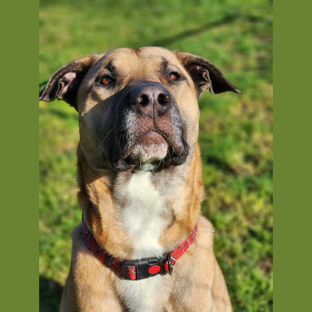 Photo of 🤠 Dusty 5095 🤠