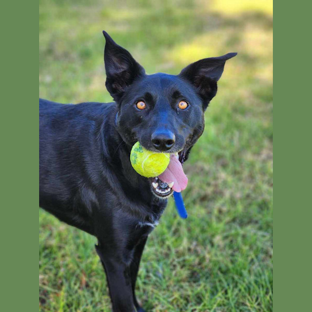 Photo of 🥔 Spud 5094 🥔