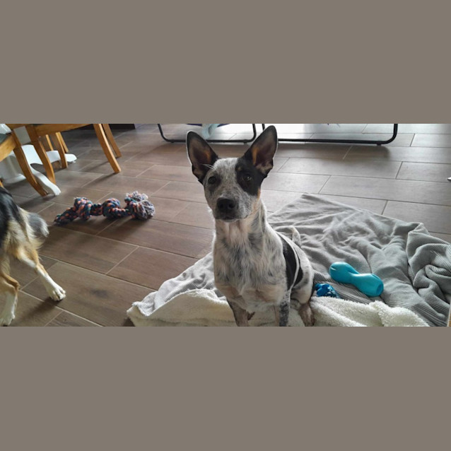Photo of Sandy