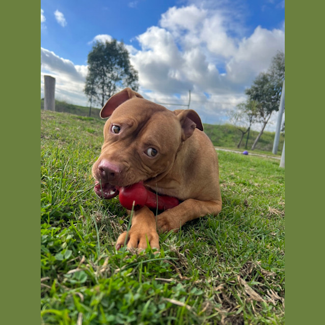 Photo of Axel