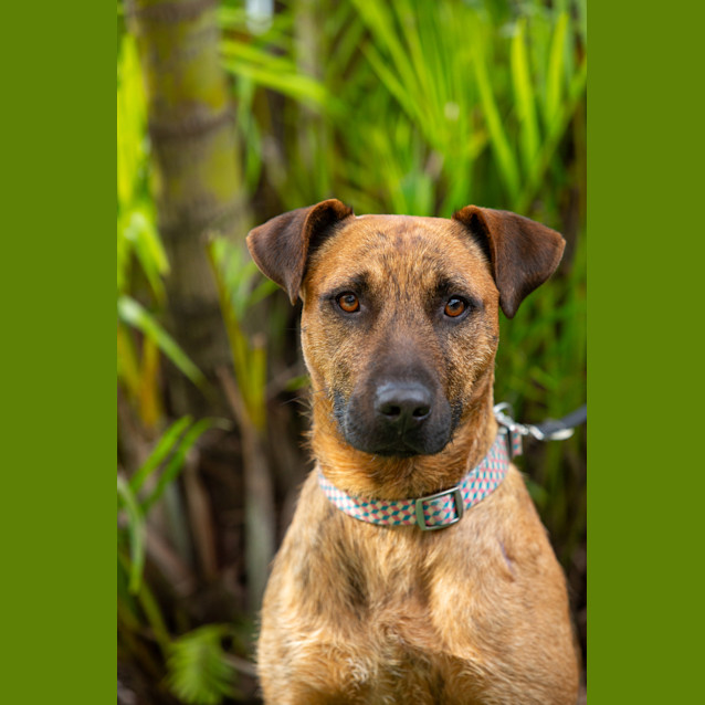 Photo of Bert