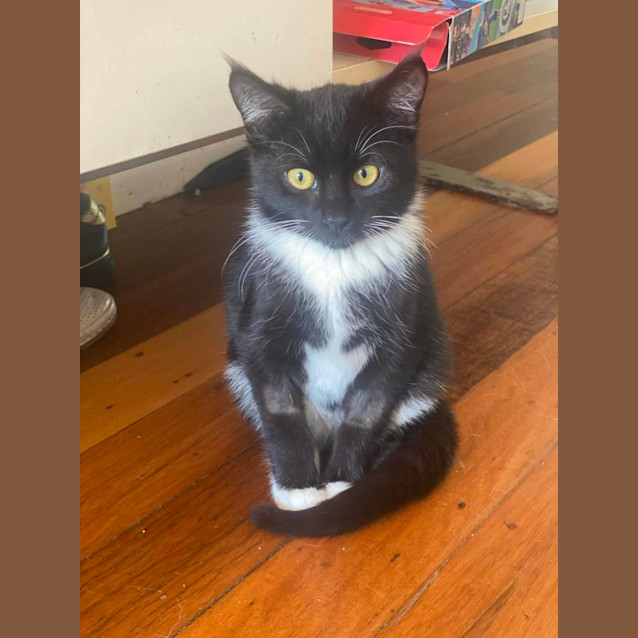 Photo of Oliver