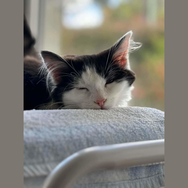 Photo of Wednesday