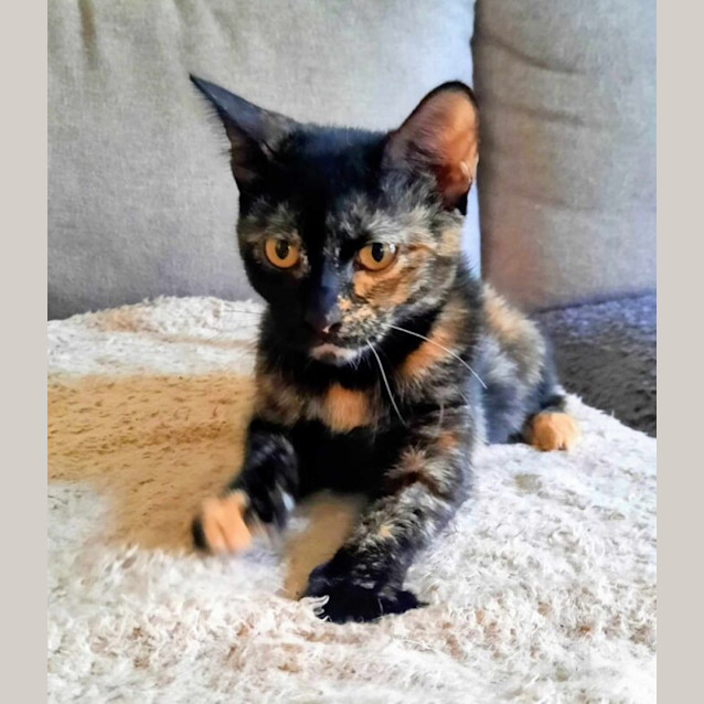 Photo of Kenzi