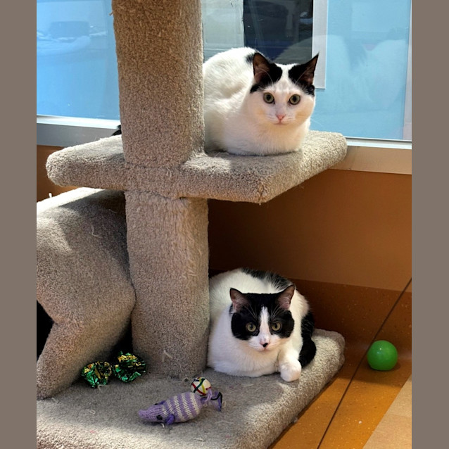 Photo of Humphrey & Spencer