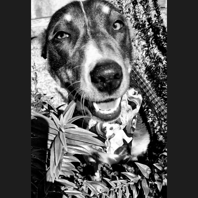 Photo of California Aka Cali