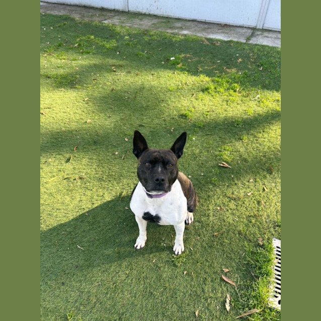 Photo of Lucy