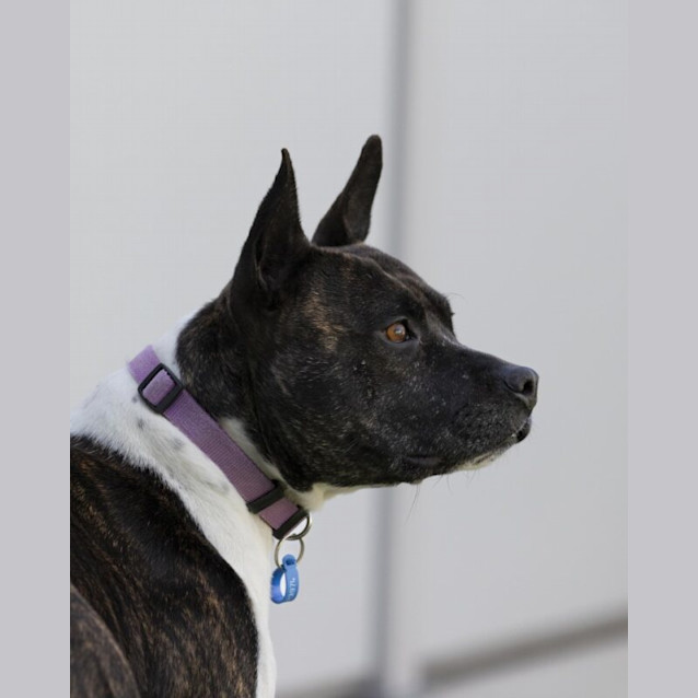 Photo of Lucy