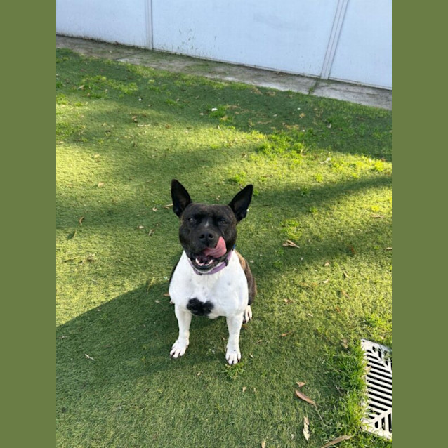 Photo of Lucy