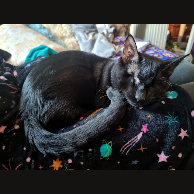 Photo of Berlioz