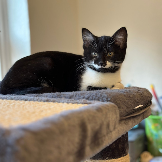 Photo of 💙 Bobby 💙