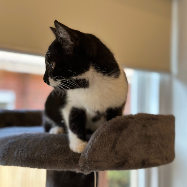 Photo of 💙 Bobby 💙