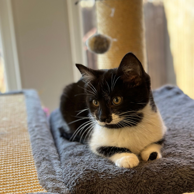 Photo of 💙 Bobby 💙