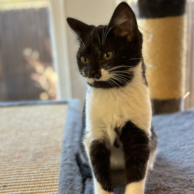 Photo of 💙 Bobby 💙