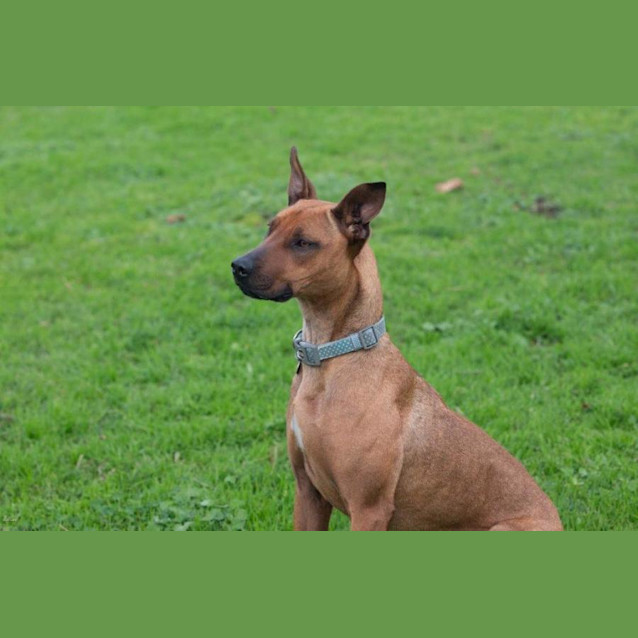 Photo of Cookie Yarbury