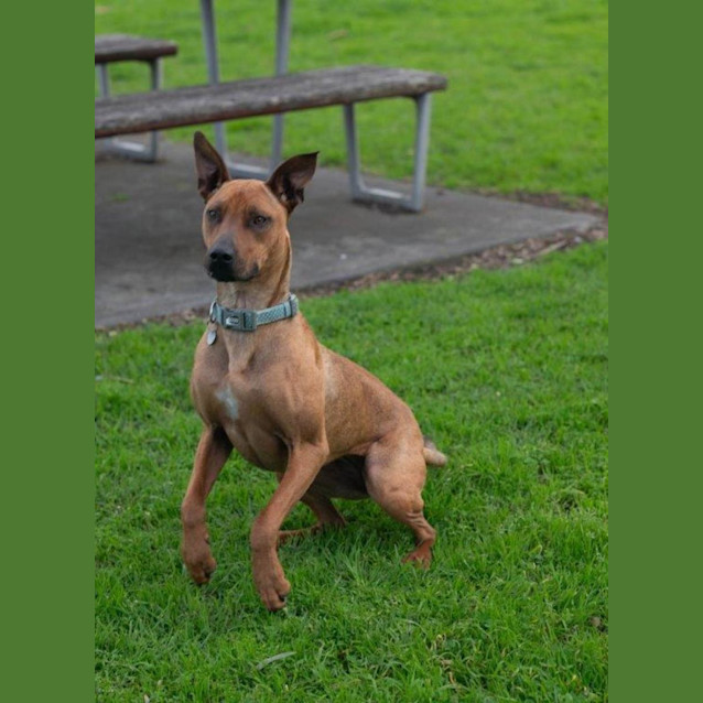 Photo of Cookie Yarbury