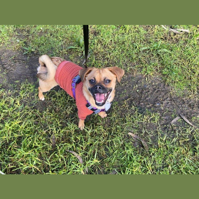 Photo of Gypsy Illingworth 