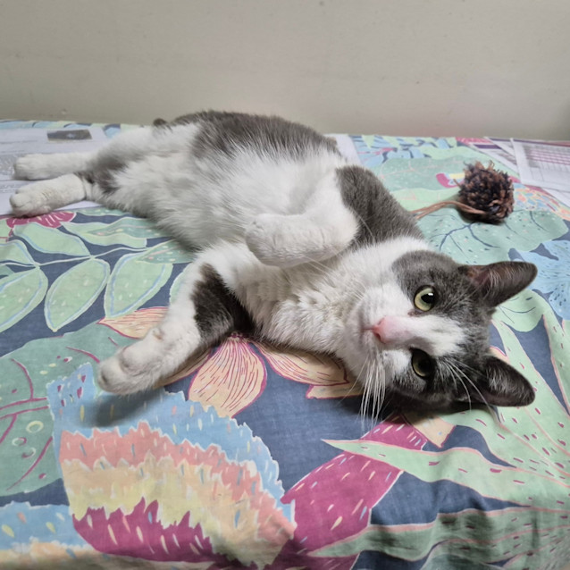 Photo of Graycie
