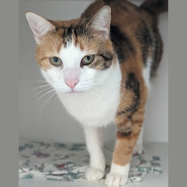 Photo of Monnie