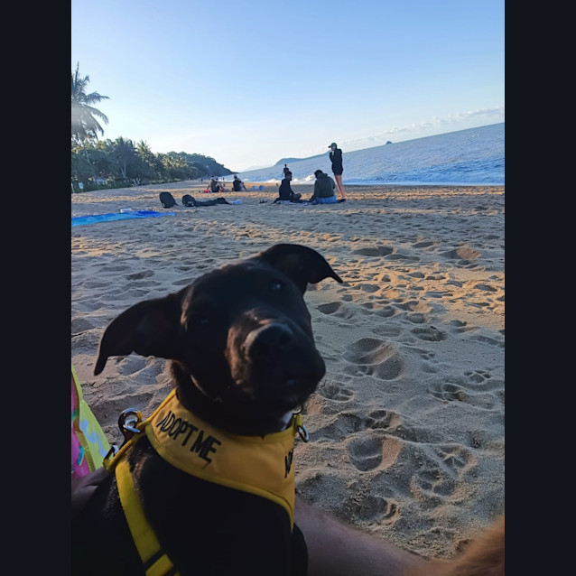 Photo of Coco