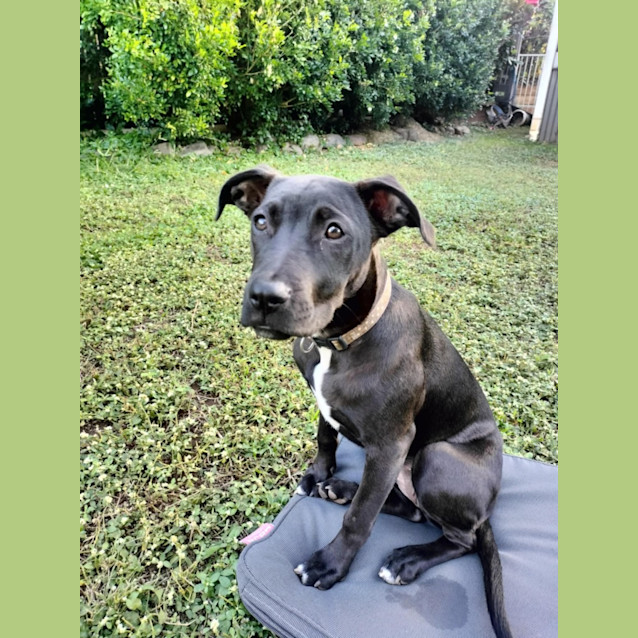 Photo of Coco