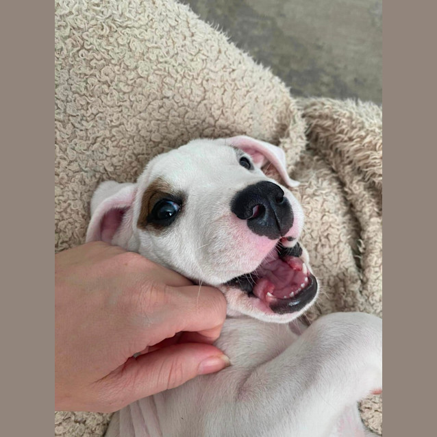 Photo of Rudy