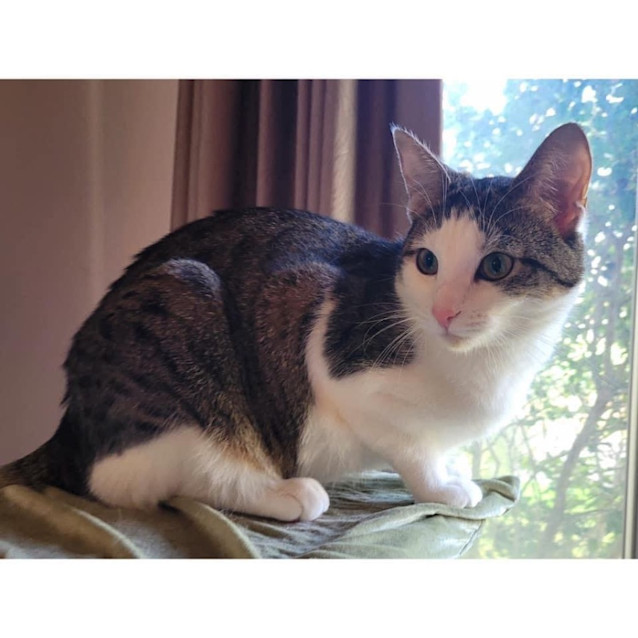 Photo of 10029   Valen