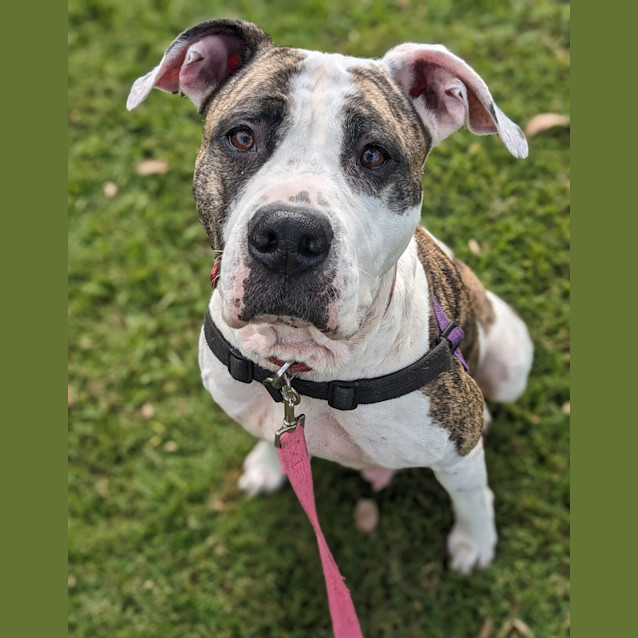Photo of Missy