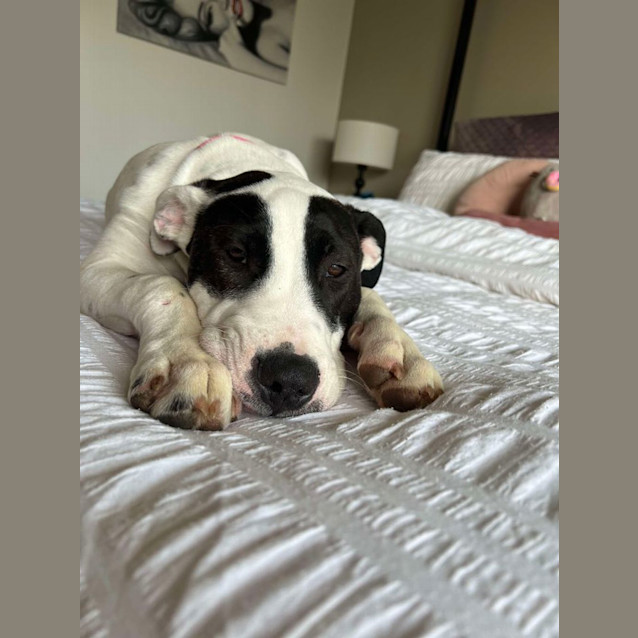 Photo of Lilith (Formerly Tiffany)