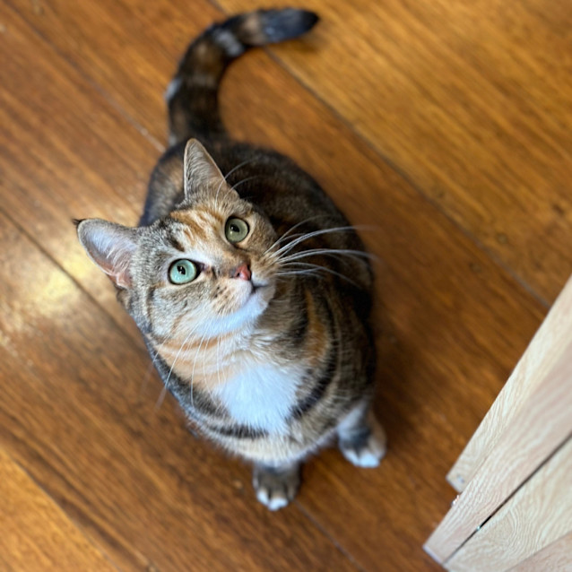 Photo of 💚 Lexi 💚