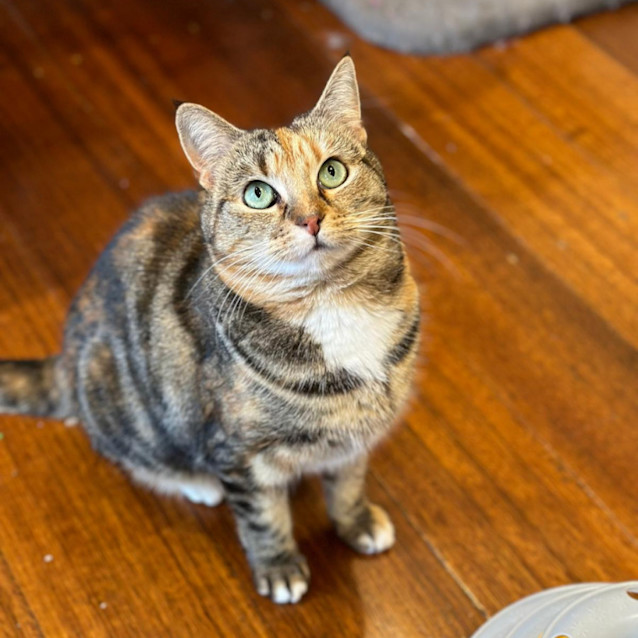 Photo of 💚 Lexi 💚