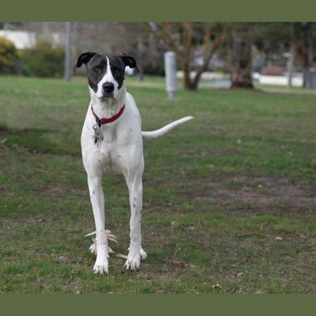 Photo of May Applegate
