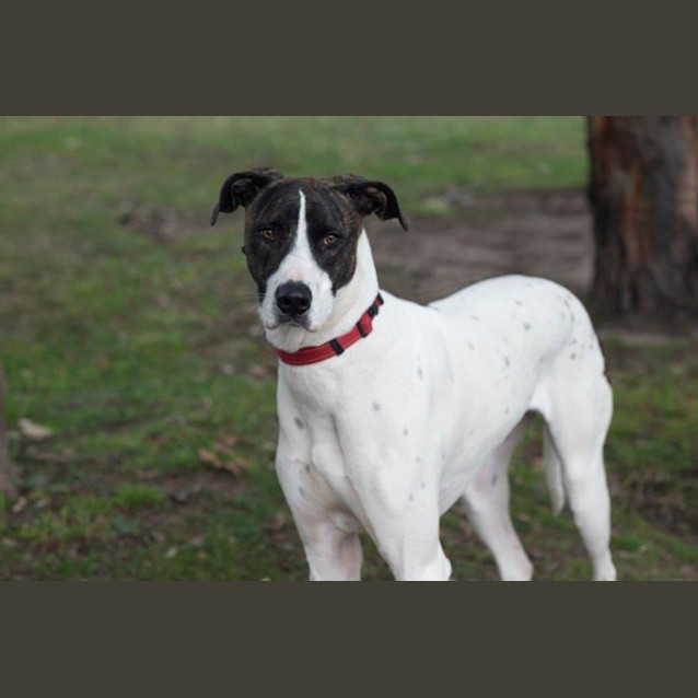 Photo of May Applegate