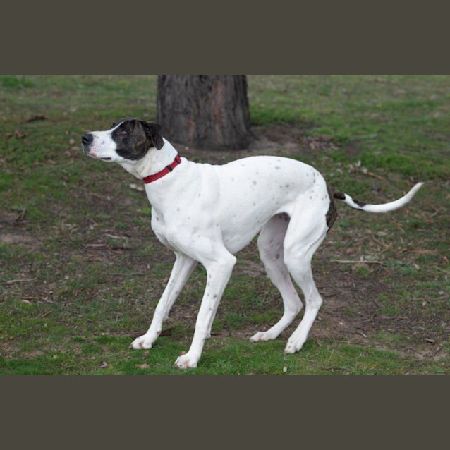 Photo of May Applegate